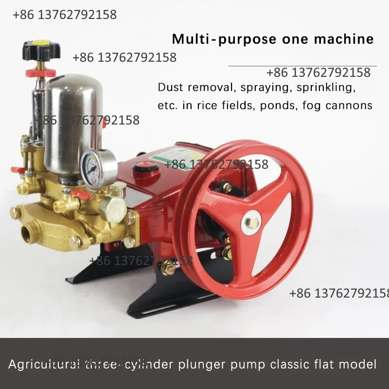 29/60 Agricultural High Pressure 3-Cylinder Plunger Pump Sprayer Pump Head Fog Cannon Machine Water Pump For Farm Spraying view 2
