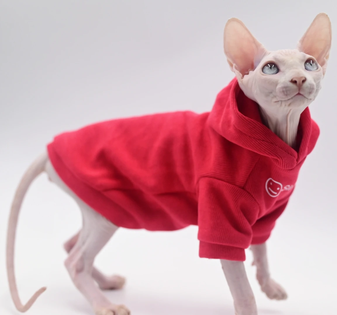 Hairless Ball Cat Apparel, Sphynx Cat Apparel, Kitty Clothes, Autumn and Winter Outfits