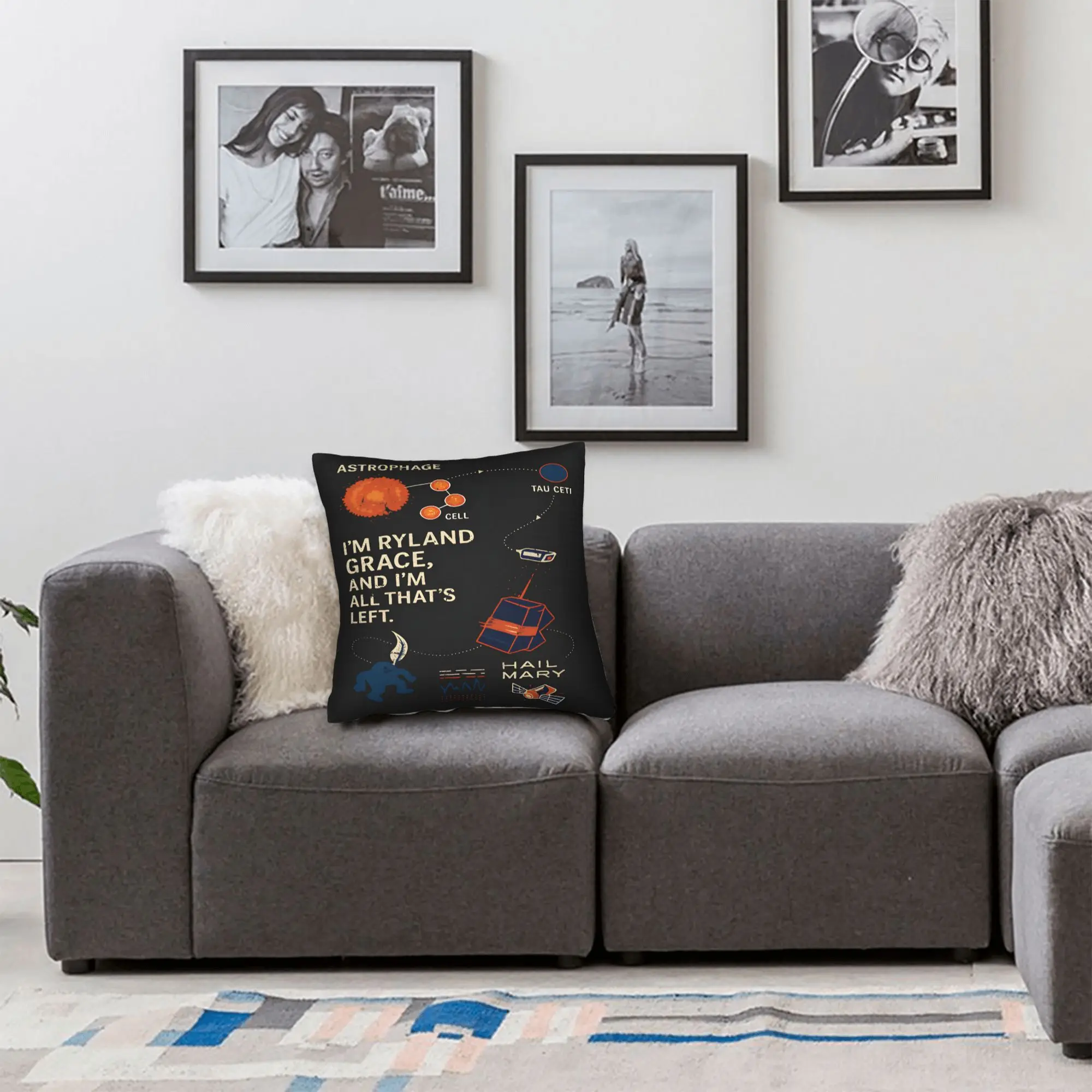 Pillow Cover Project Hail Mary Andy Weir Book Lover  Funny Pillow Case For Chair Sofa Home Decor Pillowcases