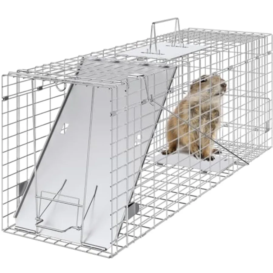 

Клетка-ловушка для живых животных 31x10x12 дюймов, гуманная ловушка для кошек, складная ловушка из оцинкованного железа с ручкой для кроликов и бездомных кошек