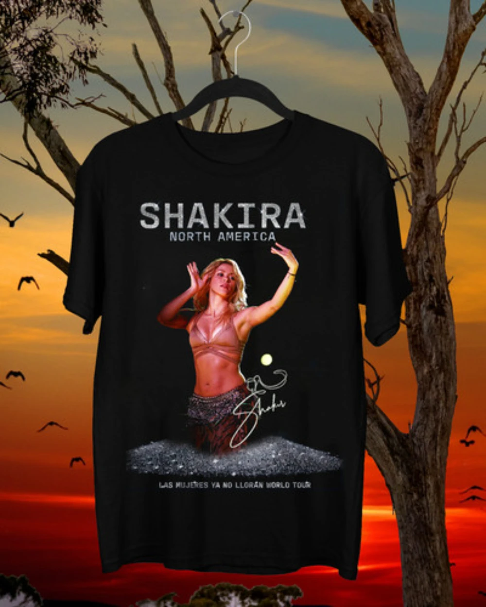 Camiseta de regalo para fanáticos de la serie Shakira, camisa informal elegante Retro con cuello redondo, ropa de calle de todas las estaciones de algodón puro Unisex, capa Base