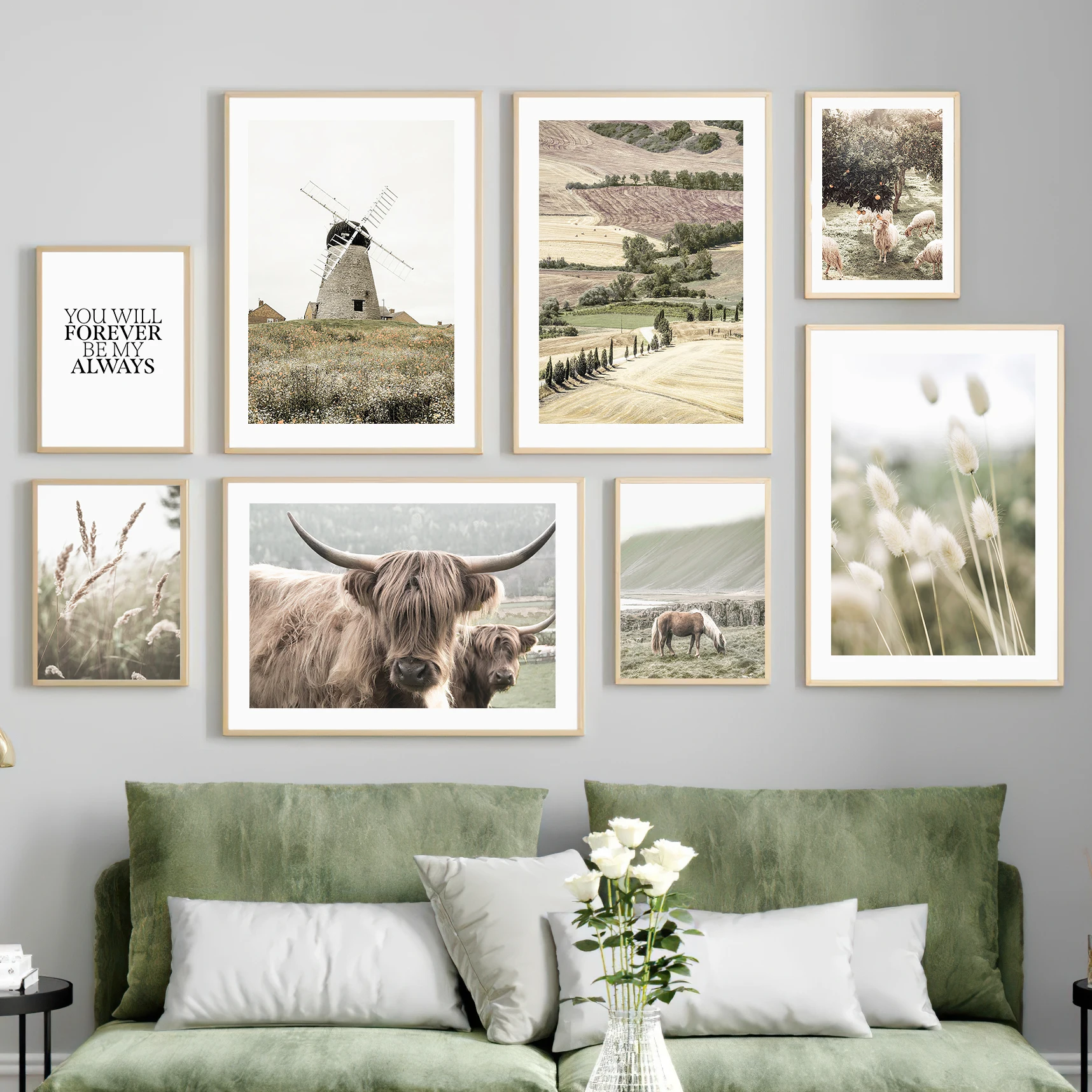 Windmill Grassland …