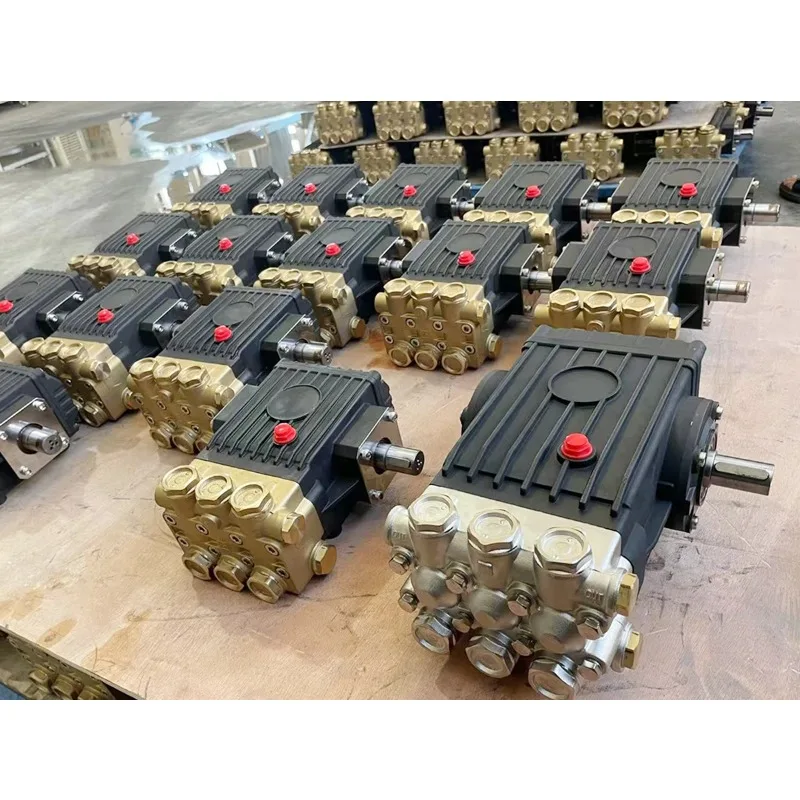 Manufacture Italian High Pressure Pump 100-250Bar ,  Plunger   Washer, Interpump WS201/WS251/W98