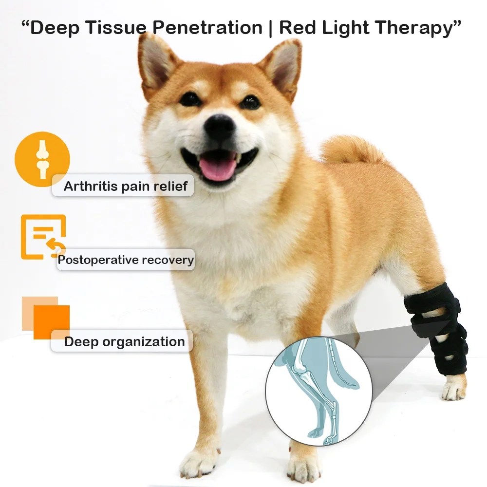 

Пояс для светотерапии Pawbrio Pet Red Light Therapy для собак и кошек, 660 нм, 850 нм, для снятия боли, для домашнего использования