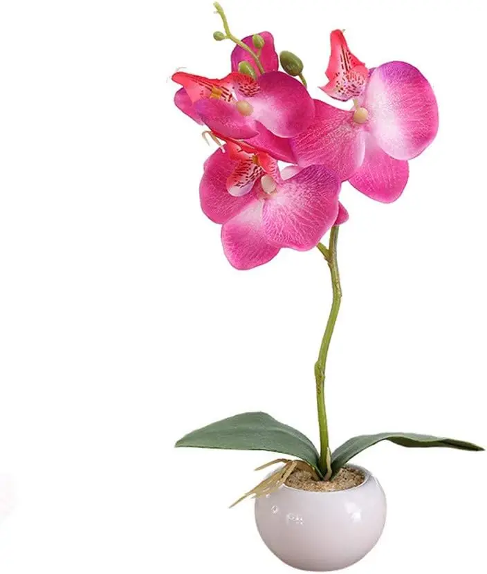 Phalaenopsis with Glass Vase Decorative  Flower Arrangement Artificial Flowers in Vase Phalaenopsis Simulated Plant  Indoor  Orc