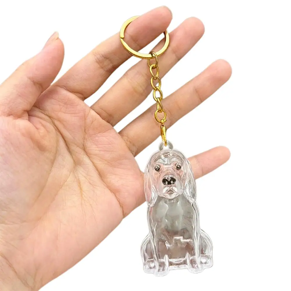 Aufbewahrungsbox für Hundehaare, Tierfellbehälter, Schlüsselanhänger, transparente Kapsel, Andenken, Gedenkgeschenk für Hunde, Trauermittelanhänger für den Verlust eines Haustiers – Detail 13