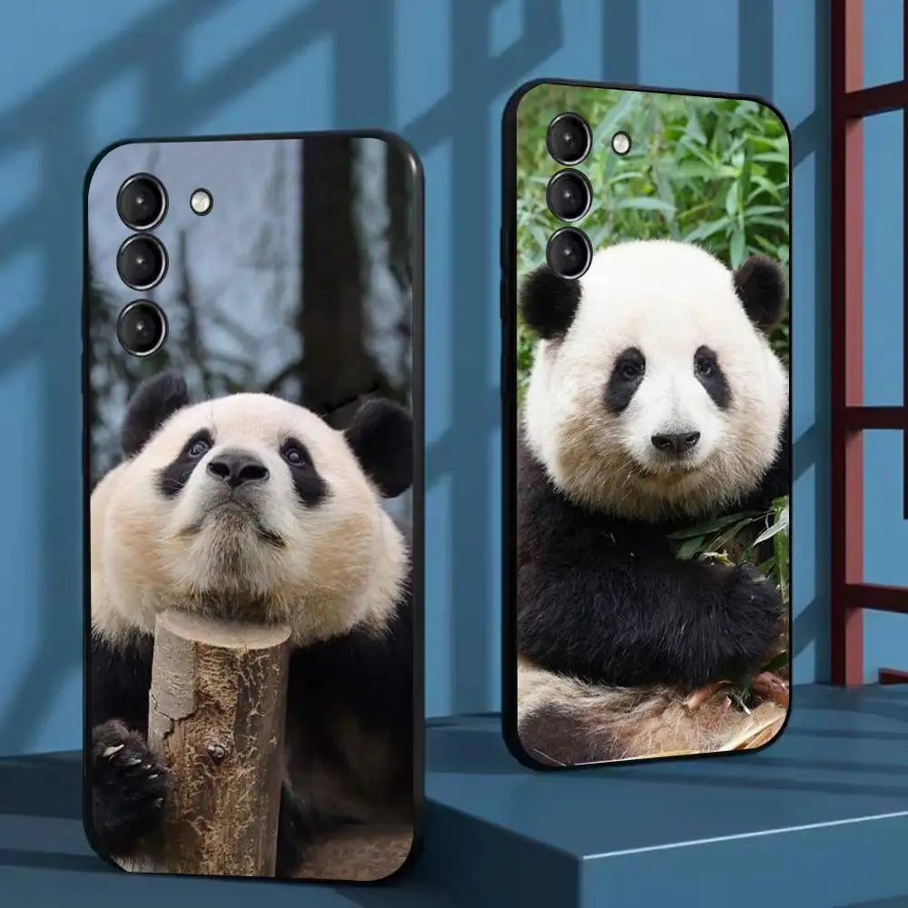 

fubao panda Phone Case For Samsung Galaxy A73,72,51,53,52,71,22,5G,Note,J7,8,9 Soft Black Cover