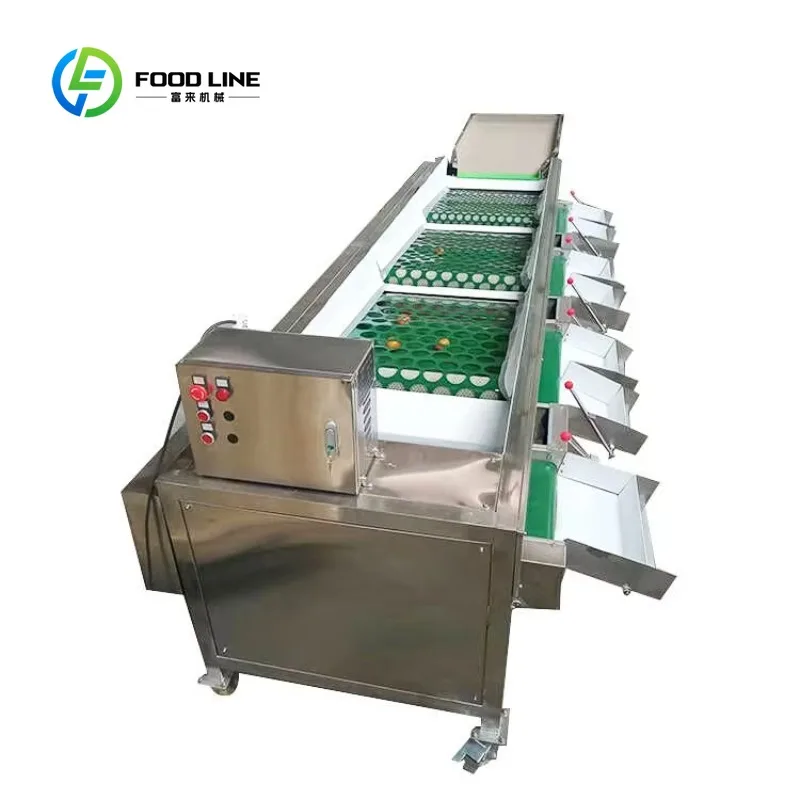 Blueberries Avocado Potato Cherry Tomato Grading Machine 4 Grades Diameter Sorting Fruits Vegetables 220V/380V Customized