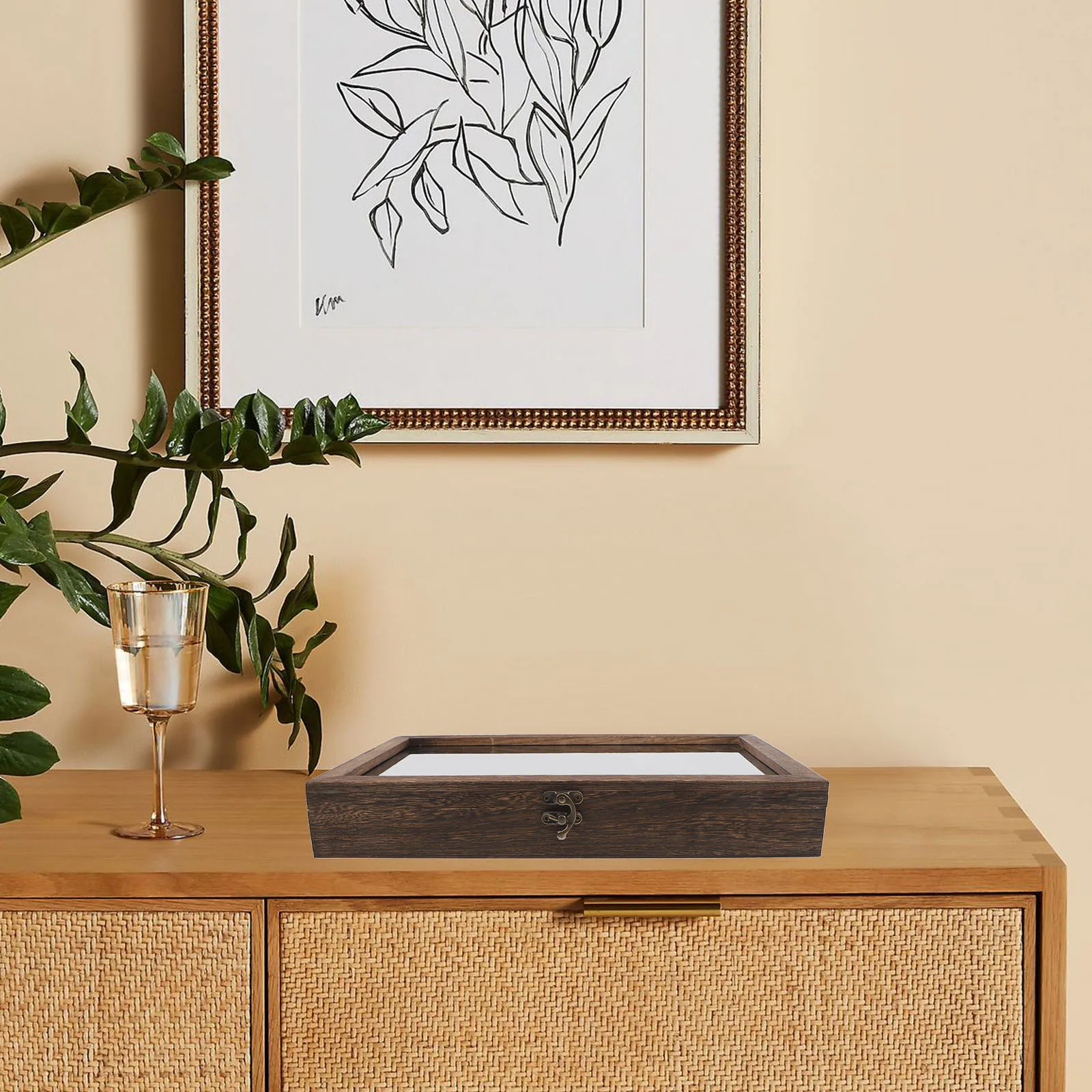 

Butterfly Insect Display Case Wooden Box Clear Top Specimen Showcase Home Decor Jewelry Storage Tray Pine Keepsake