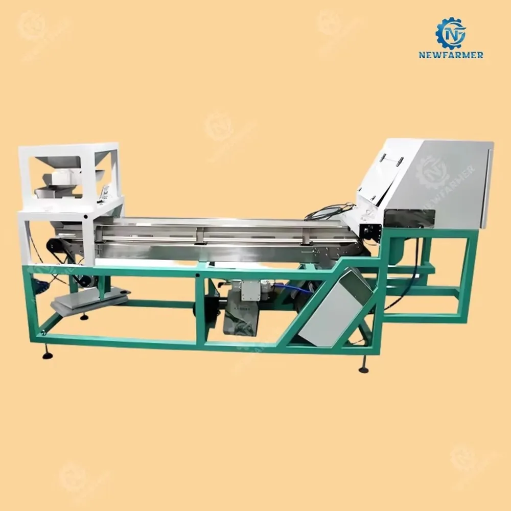 Professional Sesame Color Sorter Machine Energy Saving Seed Sorting Equipment for Removing Spoiled Grains High Accuracy