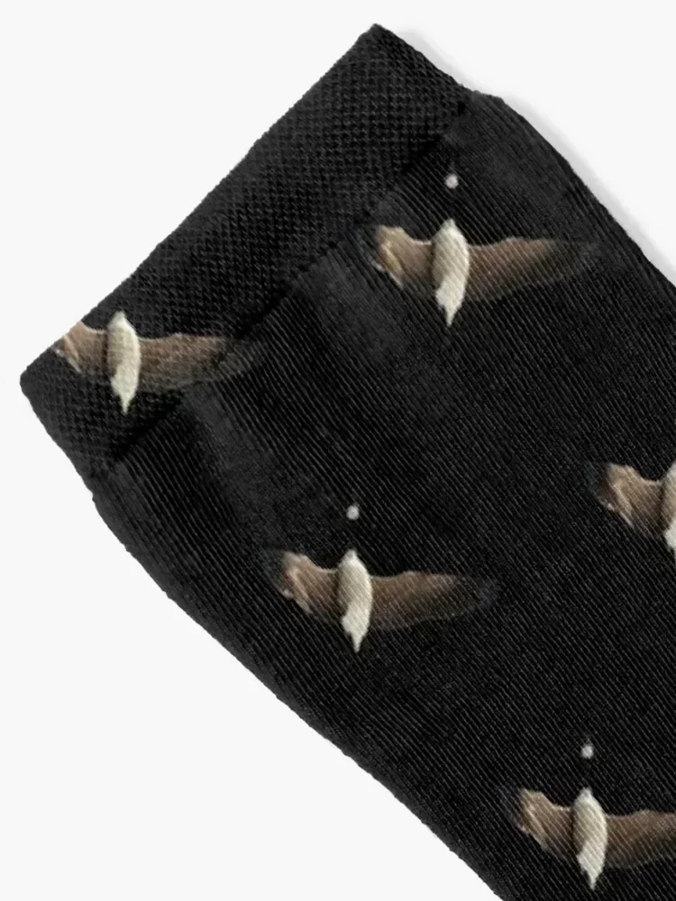 Canadian Goose Print Socks Hiking boots designer brand christmass gift christmas gift Socks Woman Men's