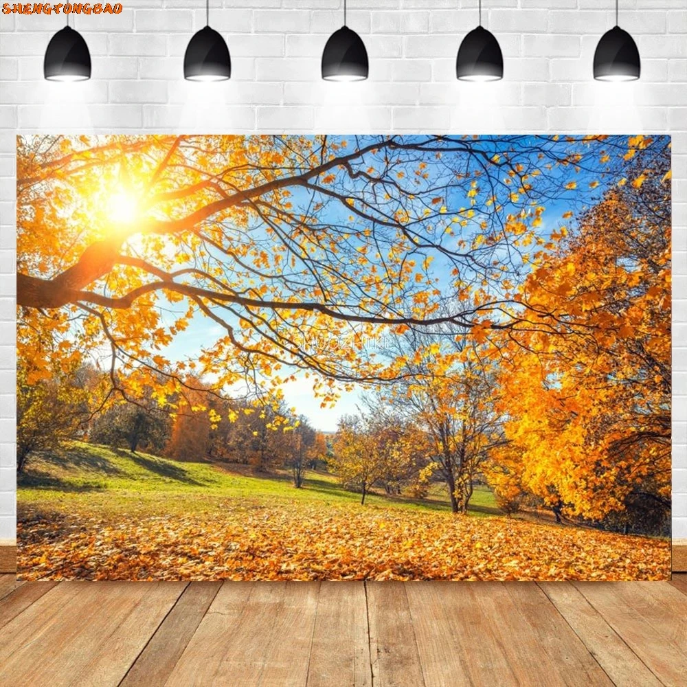 Tła do zdjęć opadłe liście Park Way narożnik drzewo dziecko naturalna jesień malownicze tła fotograficzne do studia fotograficznego