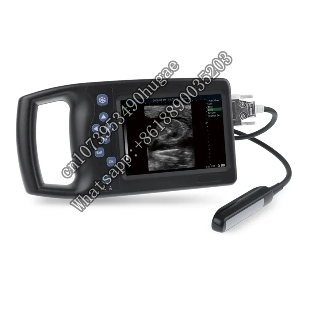 5.7-inch LED display Animal Handheld Veterinary Ultrasound Machine With 256 frame movie playback function and automatic backfat