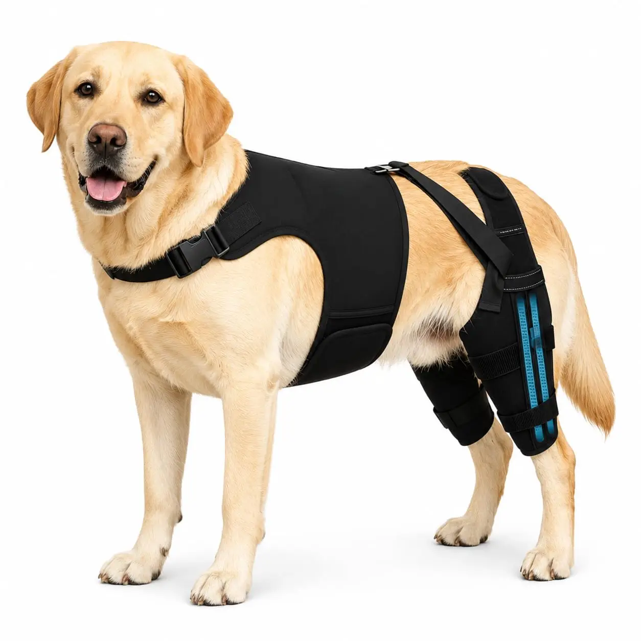 Dog Hind Leg Knee Brace Harness, Dual Leg Protection, Metal Splints for ACL Tear, Arthritis, Post-Operative Recovery