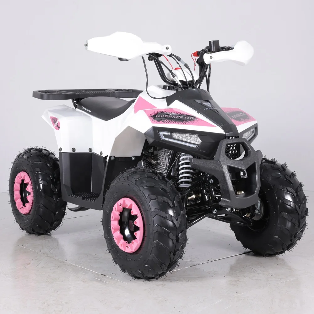 Kids 110cc ATV Automatic Xpro 125cc Gas Motorcycle Xag P100 Drone Fly Motor Cover Atv F1