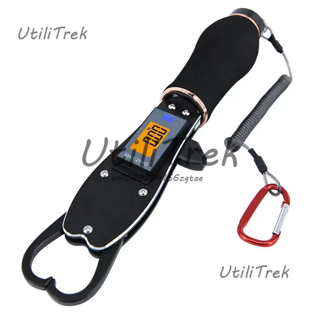 

High Precision Portable Electronic Scale Hook Type Mini Home Precision Portable Small