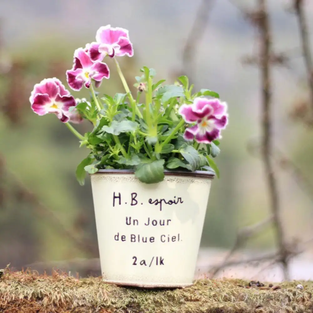 

Hanging Metal Planter Hanging Flower Pot Hanging Metal Flowerpot Decorative Planter Outdoor Garden Plant Pot for Balcony Fence
