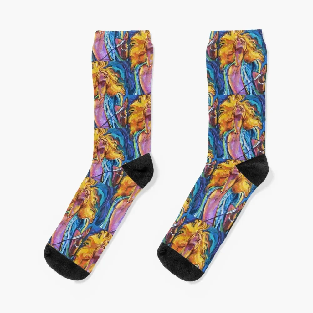 Robert Plant Wild Hair Portrait Socks snow golf japanese fashion aesthetic Men Socks Women's