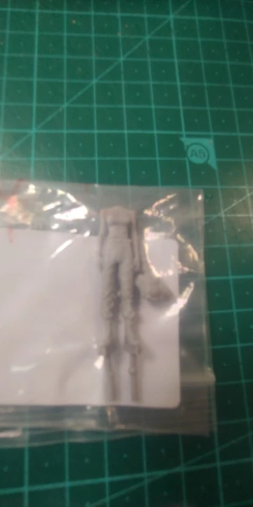 Buyer photo of this resin kit
