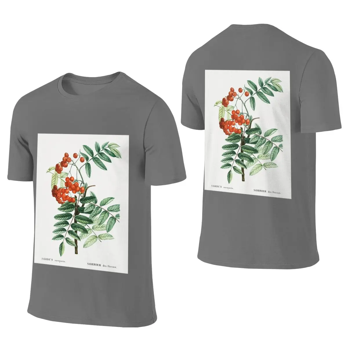 Mountain Ash Botanical Illustration Home Reversible T-shirt Sporty Trendy Three-Dimensional Printing Tees