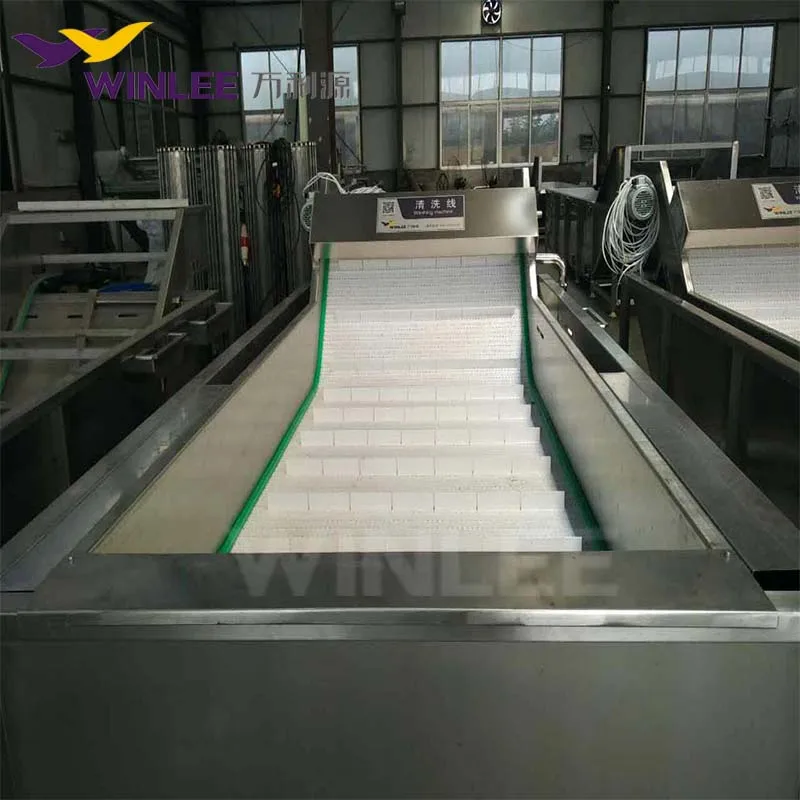 自動魚洗浄機、シーフード海上輸送用カスタマイズバブル洗浄機