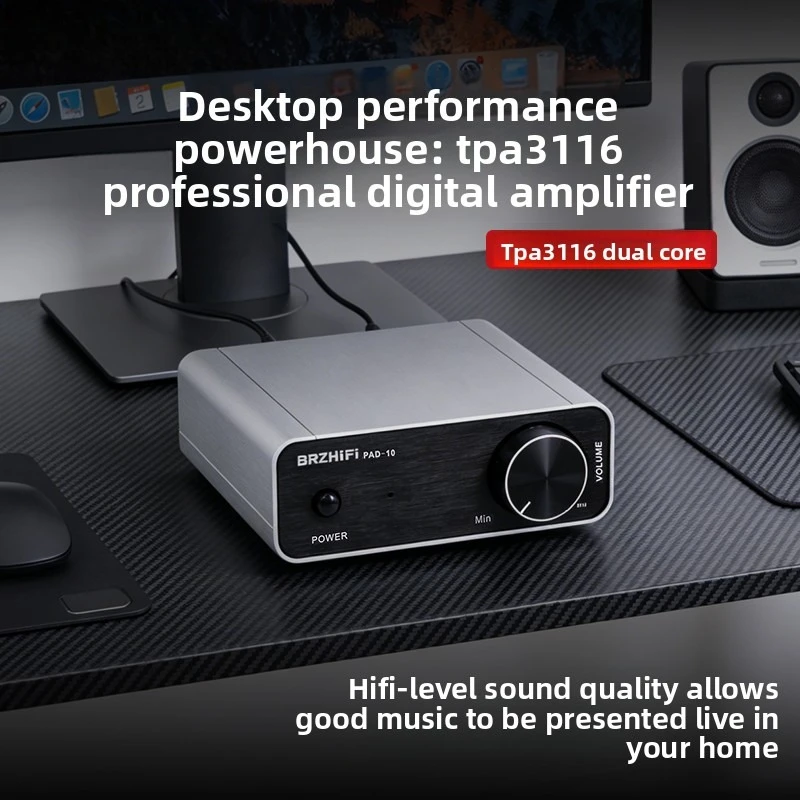 

PAD-10 High-Power Home Digital Amplifier HiFi Audiophile Desktop Small Pure Power Amplifier