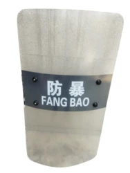 90x50cm PC Transparent Shield Security Equipment Riot Shield Thickened 3mm Handheld Square Shield Anti Stab