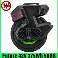 Begode Future 42V 375Wh 21700 50GB Battery 800W Motor IP65 Waterproof Tire 14inch Tubeless 3.50-8 Dual 2000 Lumens Headlights