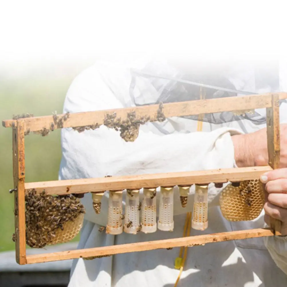 24Pcs Bee Rearing Cell Cages Plastic Bee Catcher for Beekeepers Egg Laying Storage Transport Healthy Ventilation Beekeeping