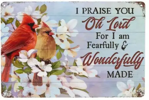 I Praise You OH LORD For I am Fearfully & Wonderfully Made 12 x 8 inch Tin Sign