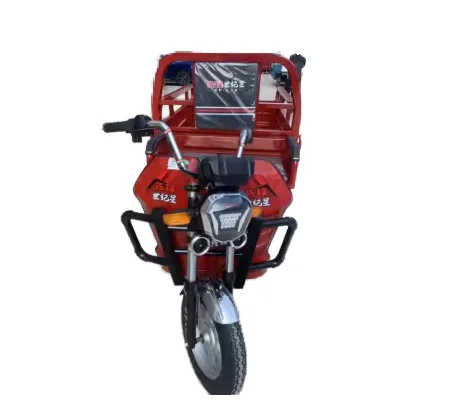 Manufacturer sales good quality Electric cargo tricycle 3 wheel electric for cargo