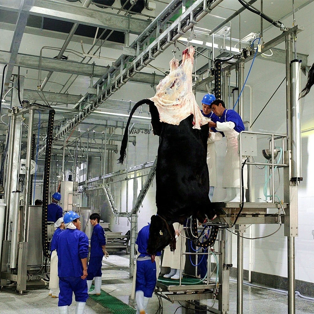 100 Cattle Per Day Cattle Equipment Slaughtering with Good Quality Slaughter Equipment