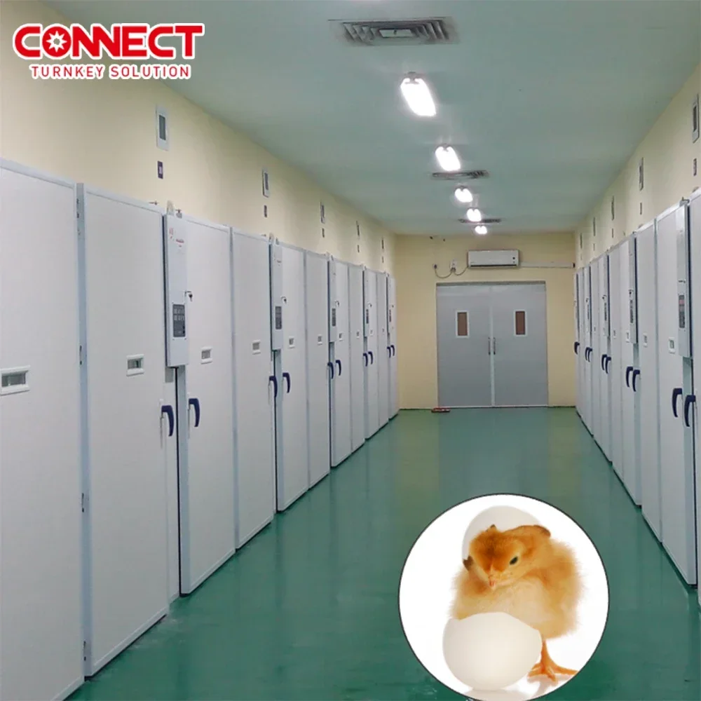 Customized Commercial Large Fully Automatic Poultry Chicken Egg Electric Incubator Breeders Setter Hatcher Hatchery Equipment