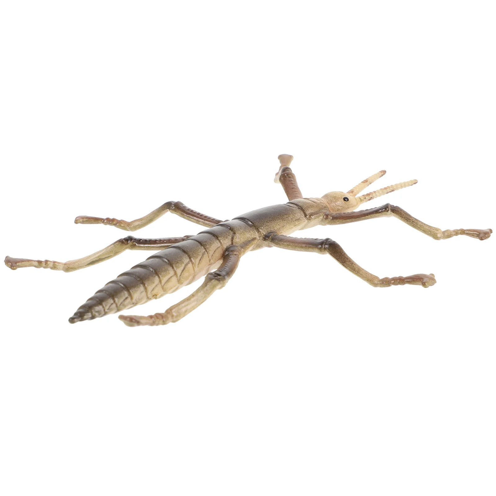 Stick Insect Model Realistic Learning Toy Children Accessory Bugs for Kids Mini Toddler