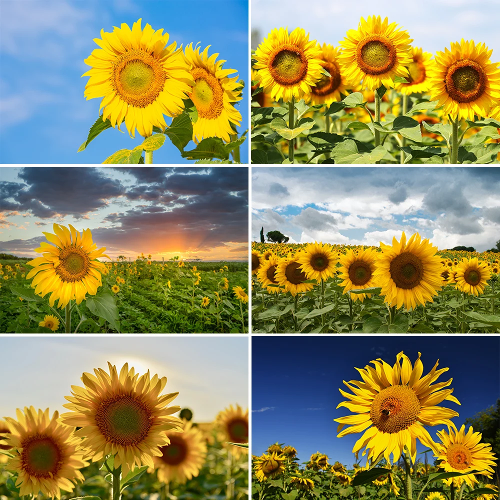 

Bonvvie Photography Background Sunflower Natual Landscape Scenery Decor Children Portrait Photocall Backdrop For Photo Studio