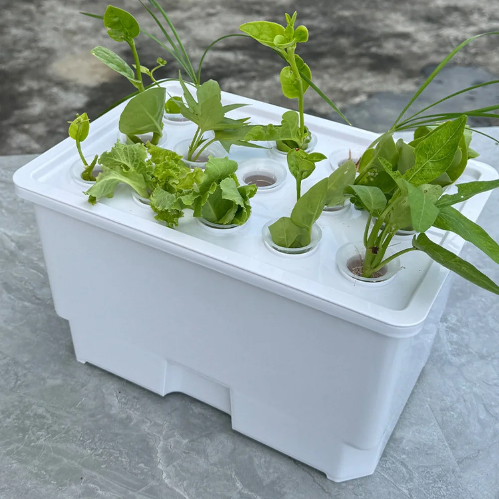 

Large Aquatic Planting Growing Box For Home 15 Holes Versatile Plastic 32*22*18cm Water Planting Basket Garden Supplies