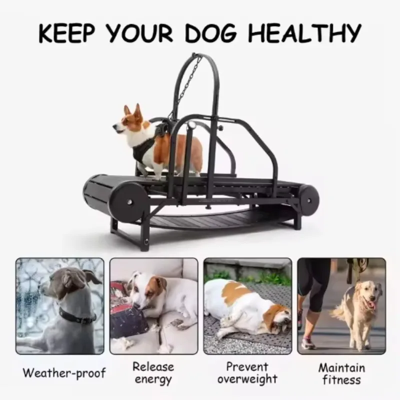 

Беговая дорожка для собак с регулируемой высотой, из нержавеющей стали, для средних и крупных собак, для использования в помещении и на улице, с тормозом.