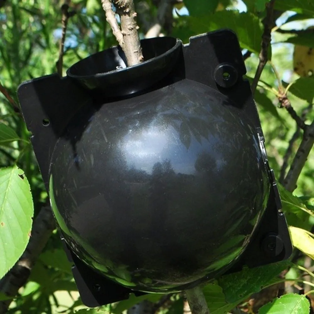 3Pcs Fast Propagation Grafting Rooting Box Plastic Safety Locks Rooting Propagation Ball Plant Root Device Hydroponics