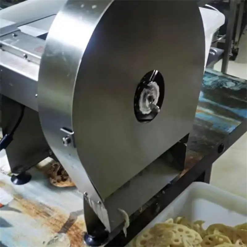 220V Electric Kitch…