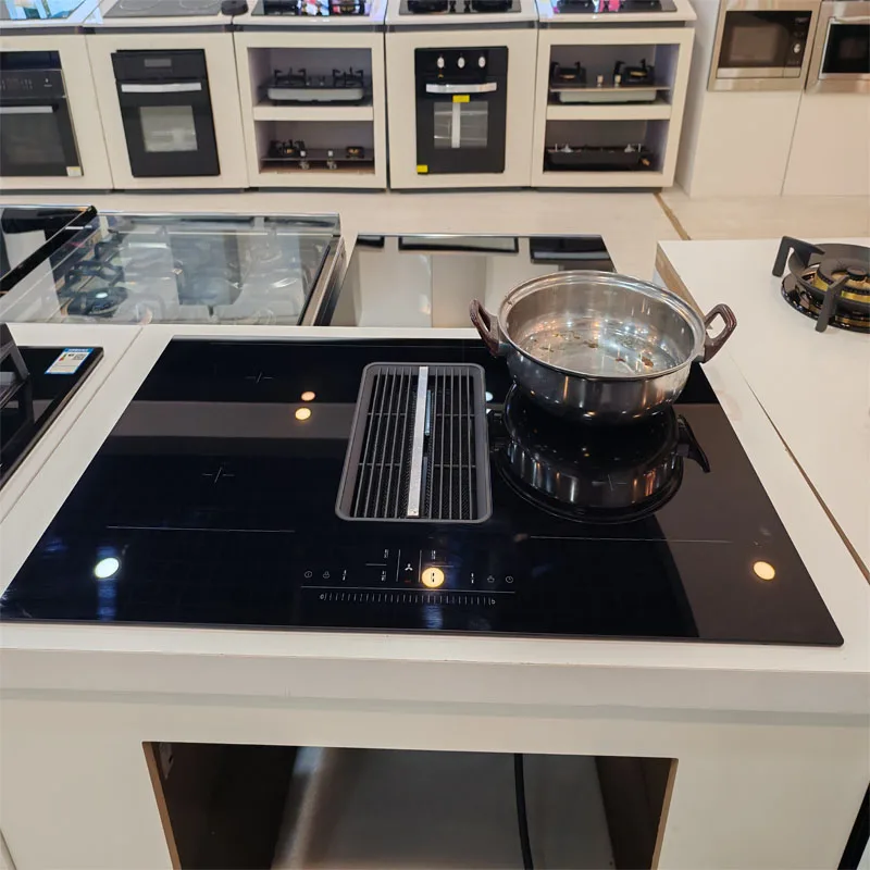 Home Appliances Induction Cooker With 2 burners Induction built in oven Germany IGBT