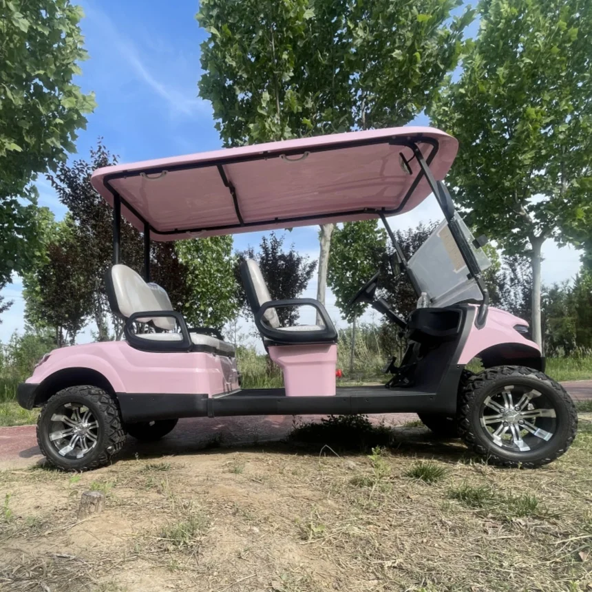 

New Design High Quality Off Road 72V Lead-Acid Battery Powered Electric Golf Cart MacPherson Suspension 5000W AC System Trolley