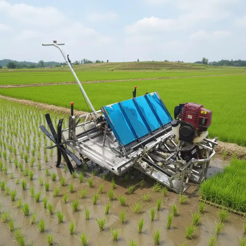 High productivity  rice transplanters  New manual small rice transplanters with core engine components