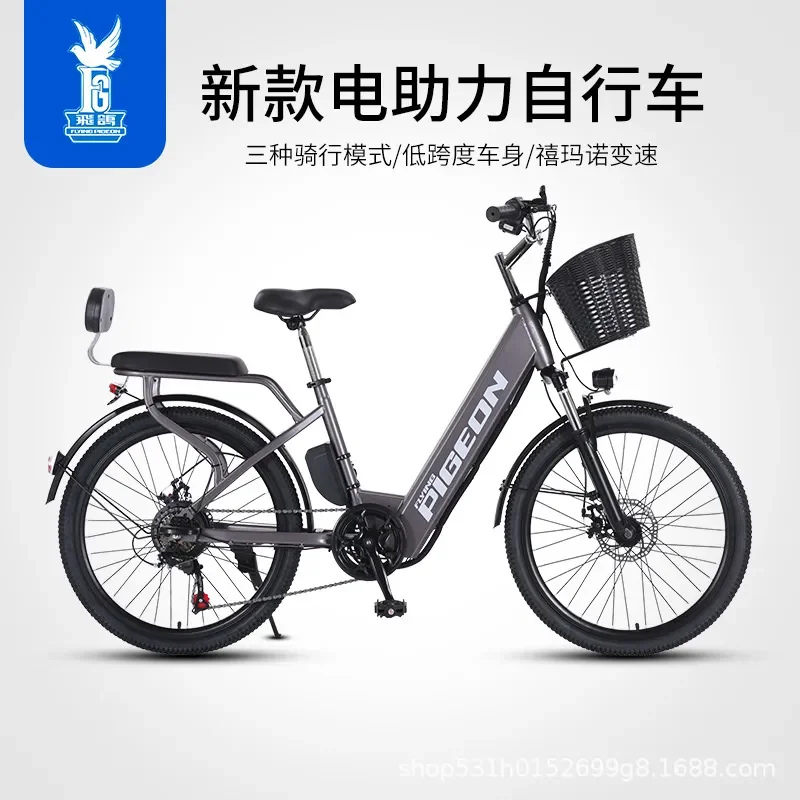 24 Inch Electric Assist Mountain Bike Lithium Battery Moped 3C Standard E Bicycle