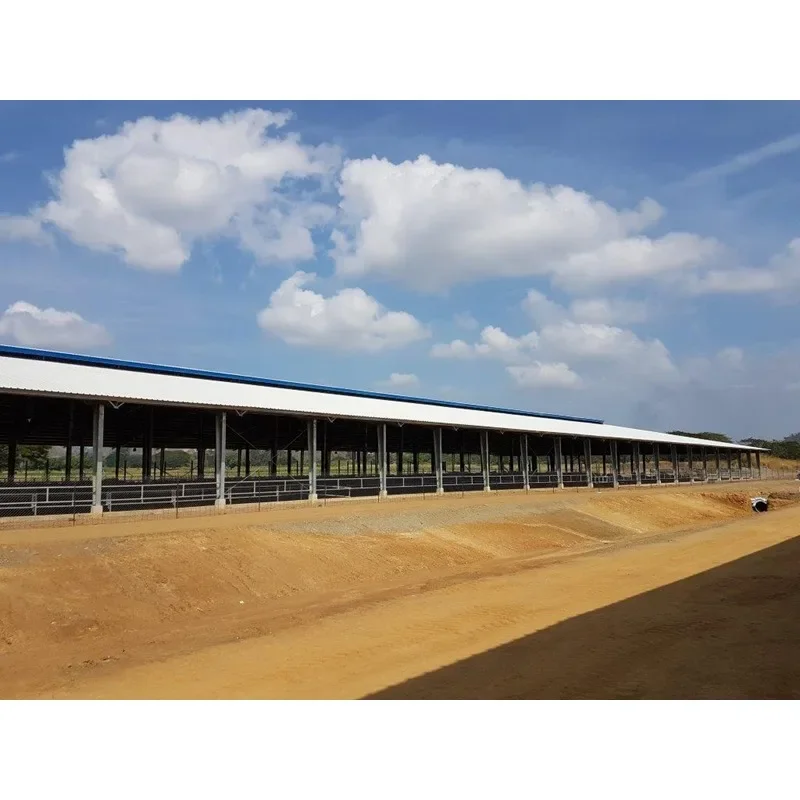 YG Wholesale High Quality Durable Using Low Price Steel Structure Cow Farm