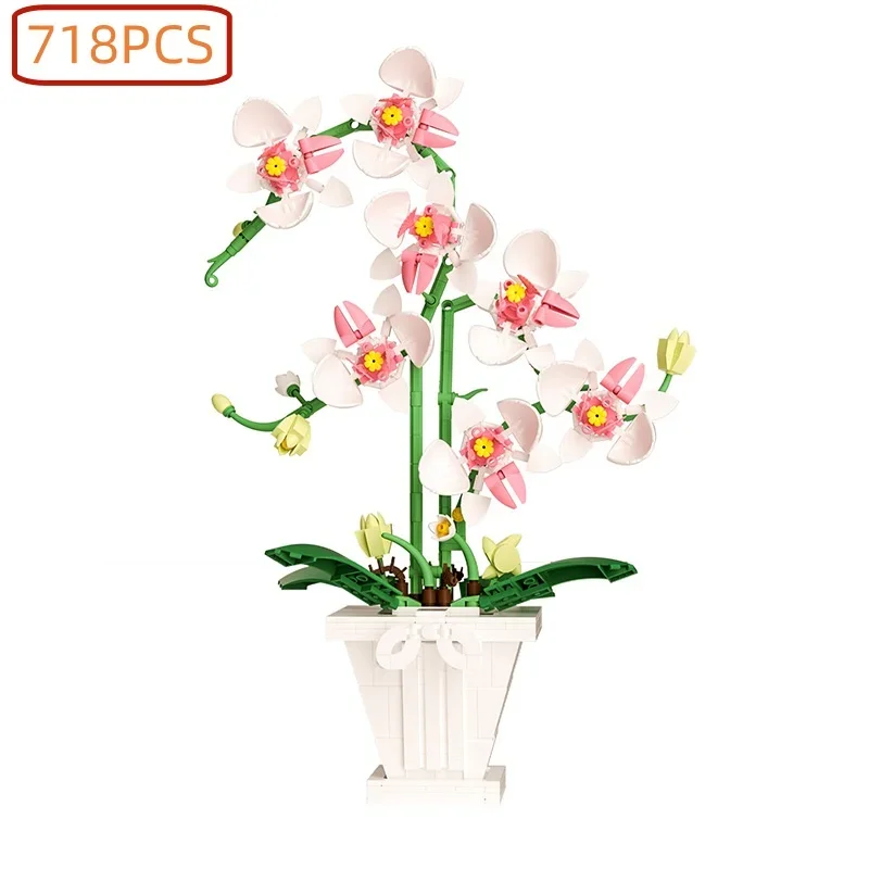 فالاينوبسيس بوعاء زهرة خالدة اللبنات مكتب سطح المكتب الديكور ألعاب تعليمية للأطفال البلاستيك أطقم منمذجة