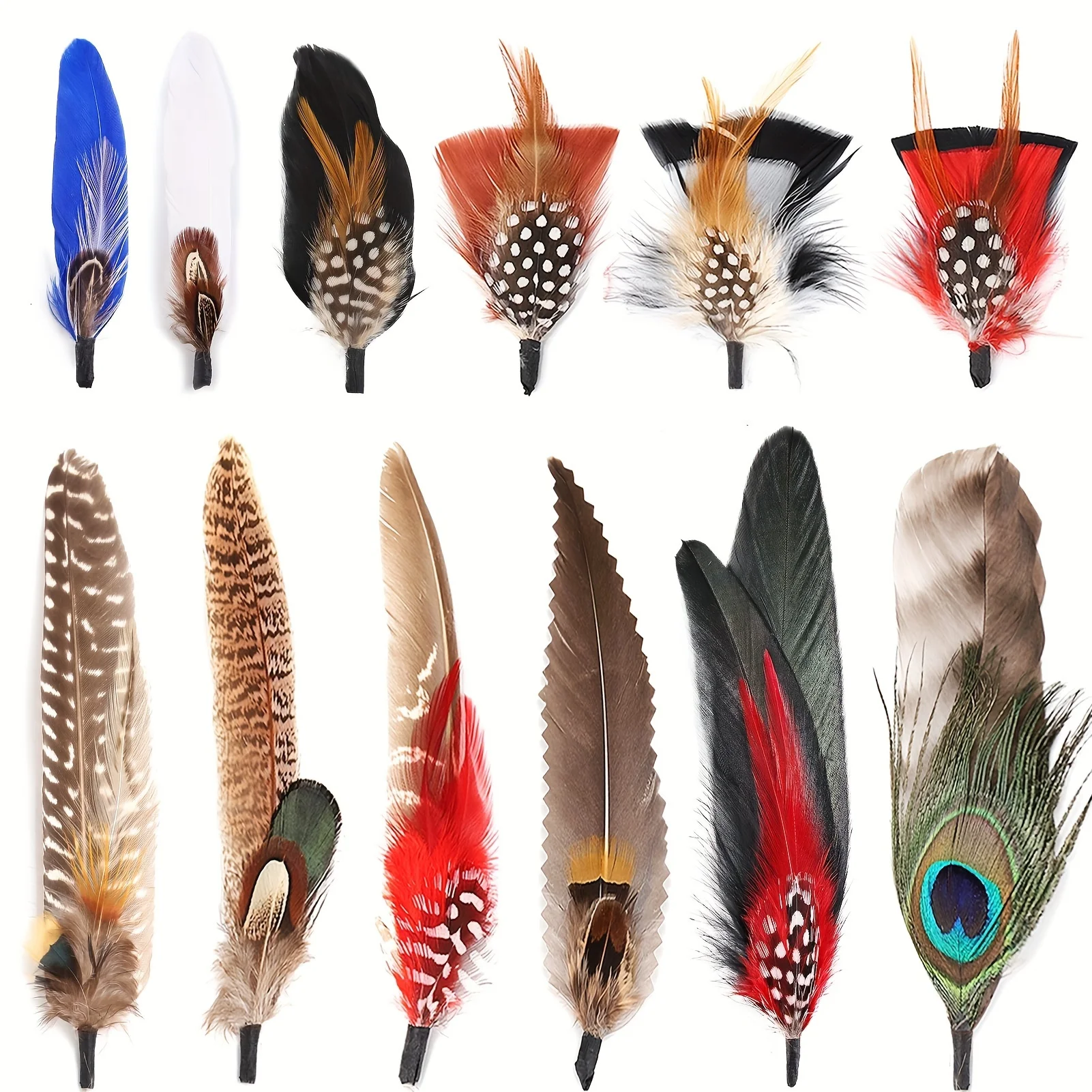 10-12 Pcs Natural Peacock Feathers for Hats – Colorful Real Feathers for DIY Fedora, Cowboy, and Party Hats