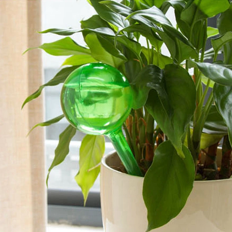 3PCS Plant Self Watering Ball Automatic Watering Clear Plastic Plant Water  Bulbs Drip Irrigation System Home Garden Flower Plant - AliExpress 15