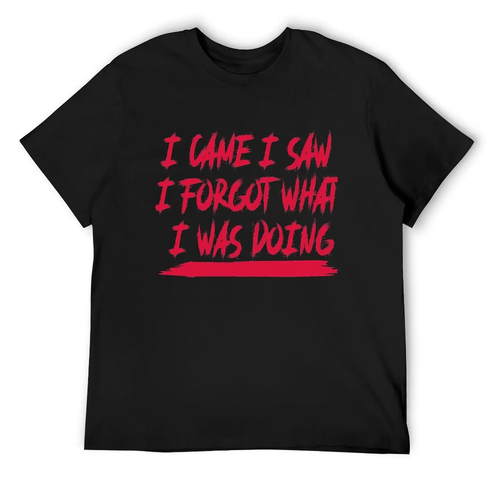 I cam I saw I forgot what was doing, Funny artist T-Shirt baggy shirts anime tshirt boys animal print Men's t-shirts