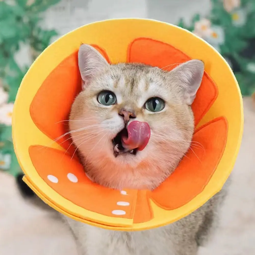 

Cute Soft Elizabethan Collars Anti-lick Adjustable Cat Cones Anti-bite Felt Wound Healing Protective Cone For Pet After Surgery