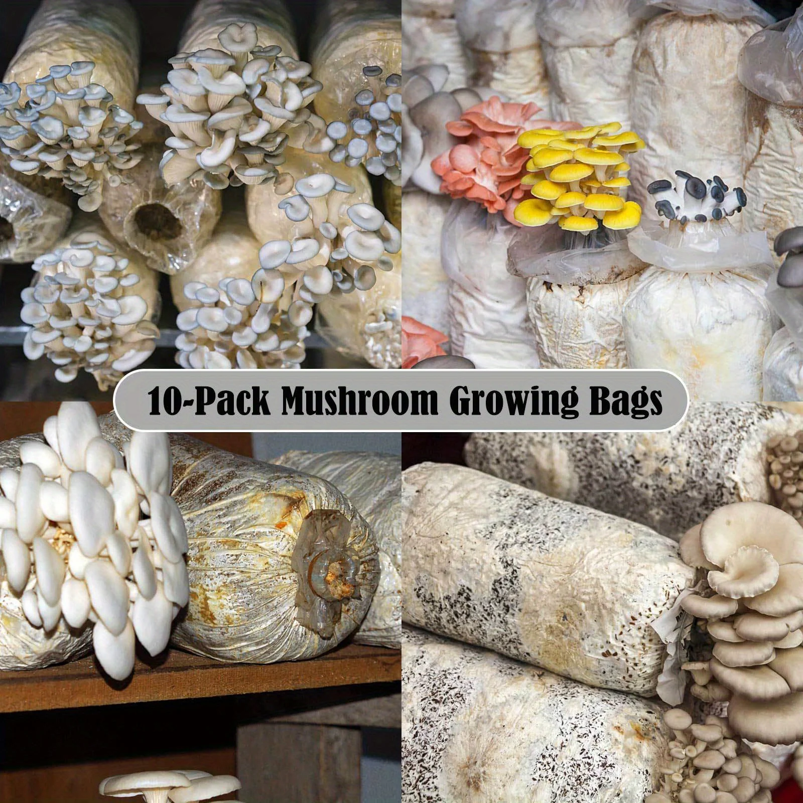 5/10Pcs Polypropylene Mushroom - Mushroom Spawn Bag recension och pris